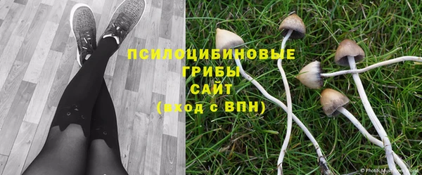 ГАЛЛЮЦИНОГЕННЫЕ ГРИБЫ Абаза